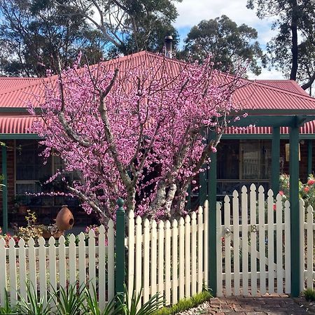 Blue Gum Cottage On Bay Bensville Exterior photo