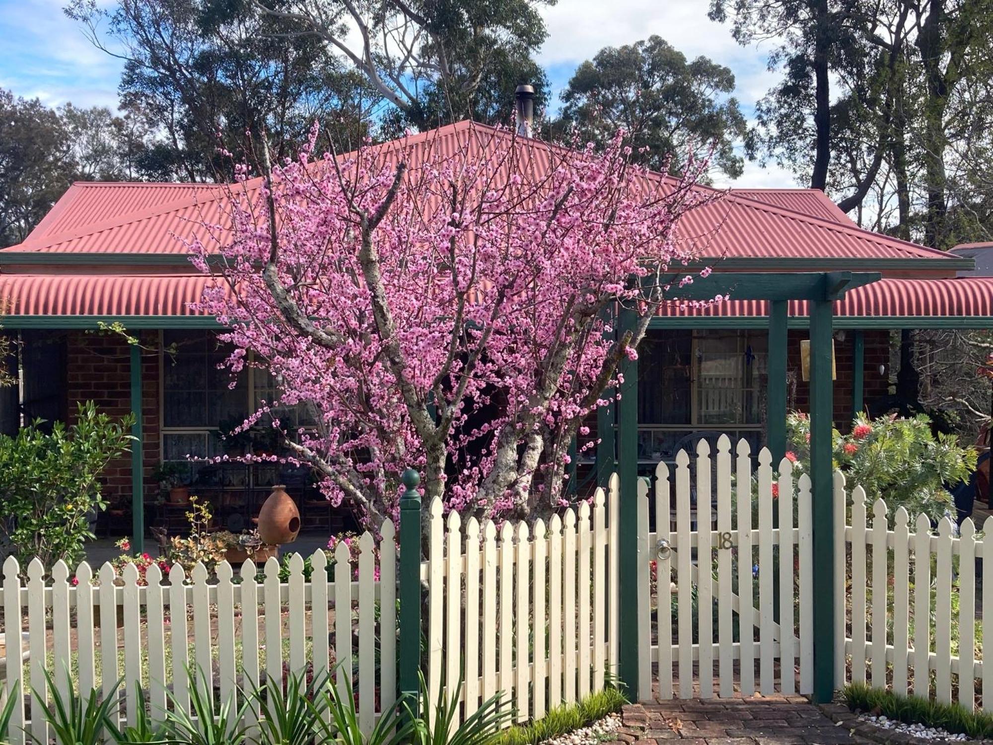 Blue Gum Cottage On Bay Bensville Exterior photo