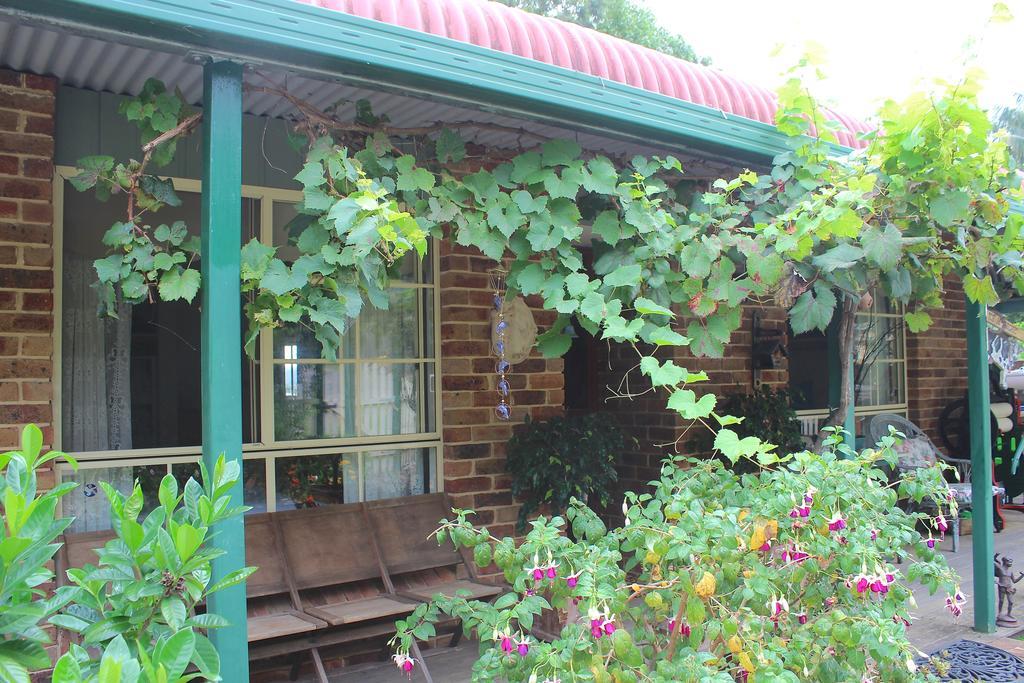 Blue Gum Cottage On Bay Bensville Room photo